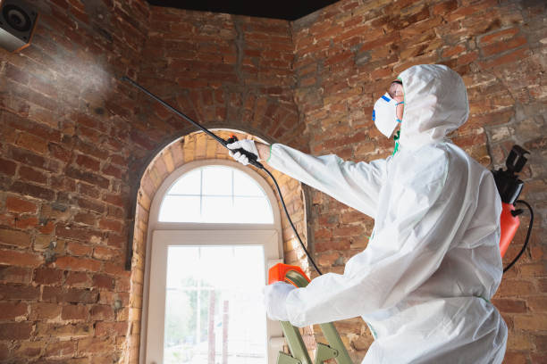 Mold Remediation for Vacation Homes in George, IA